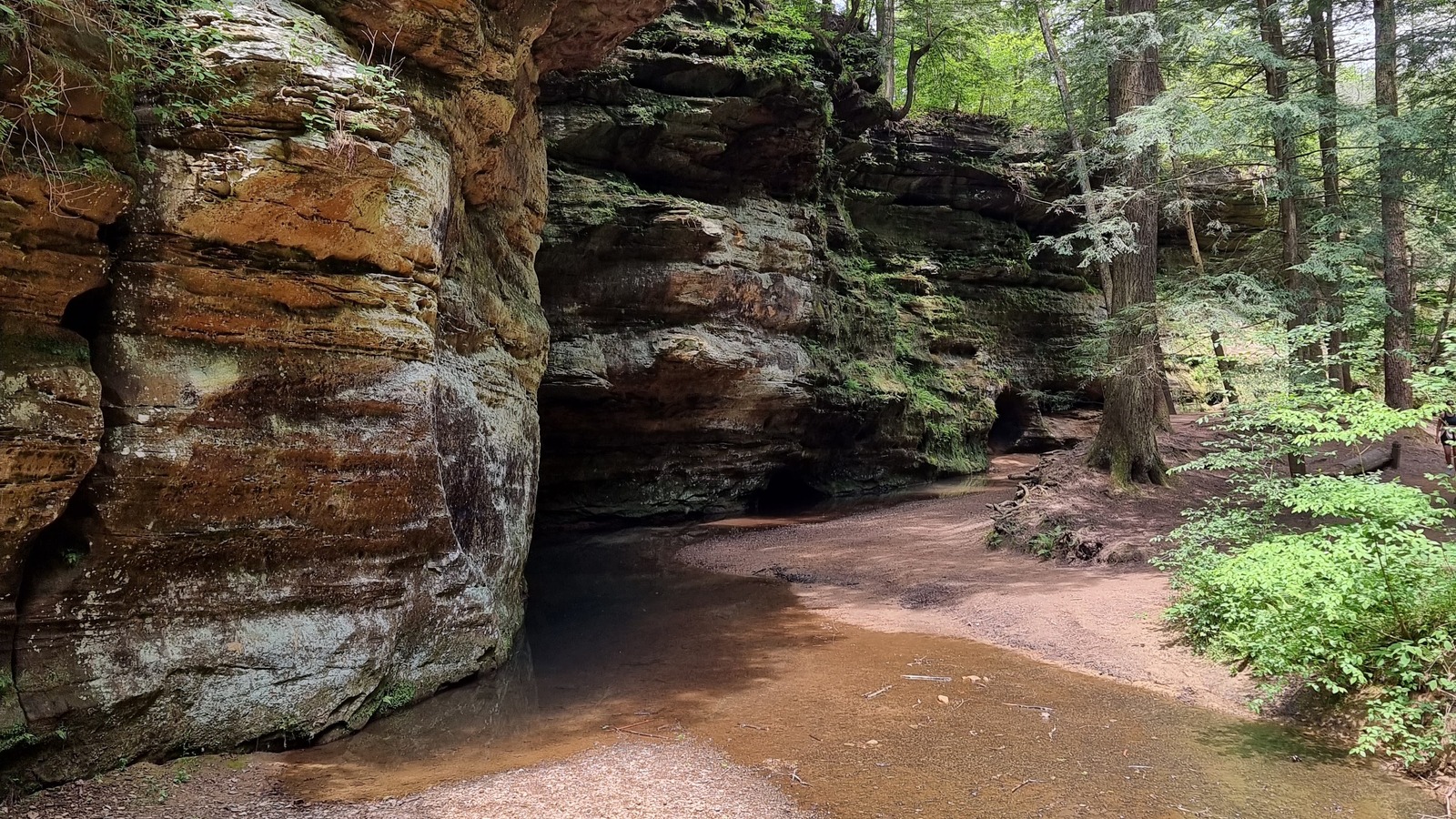 Layered sandstone gorge wall beside a shallow creek in Hocking Hills State Park