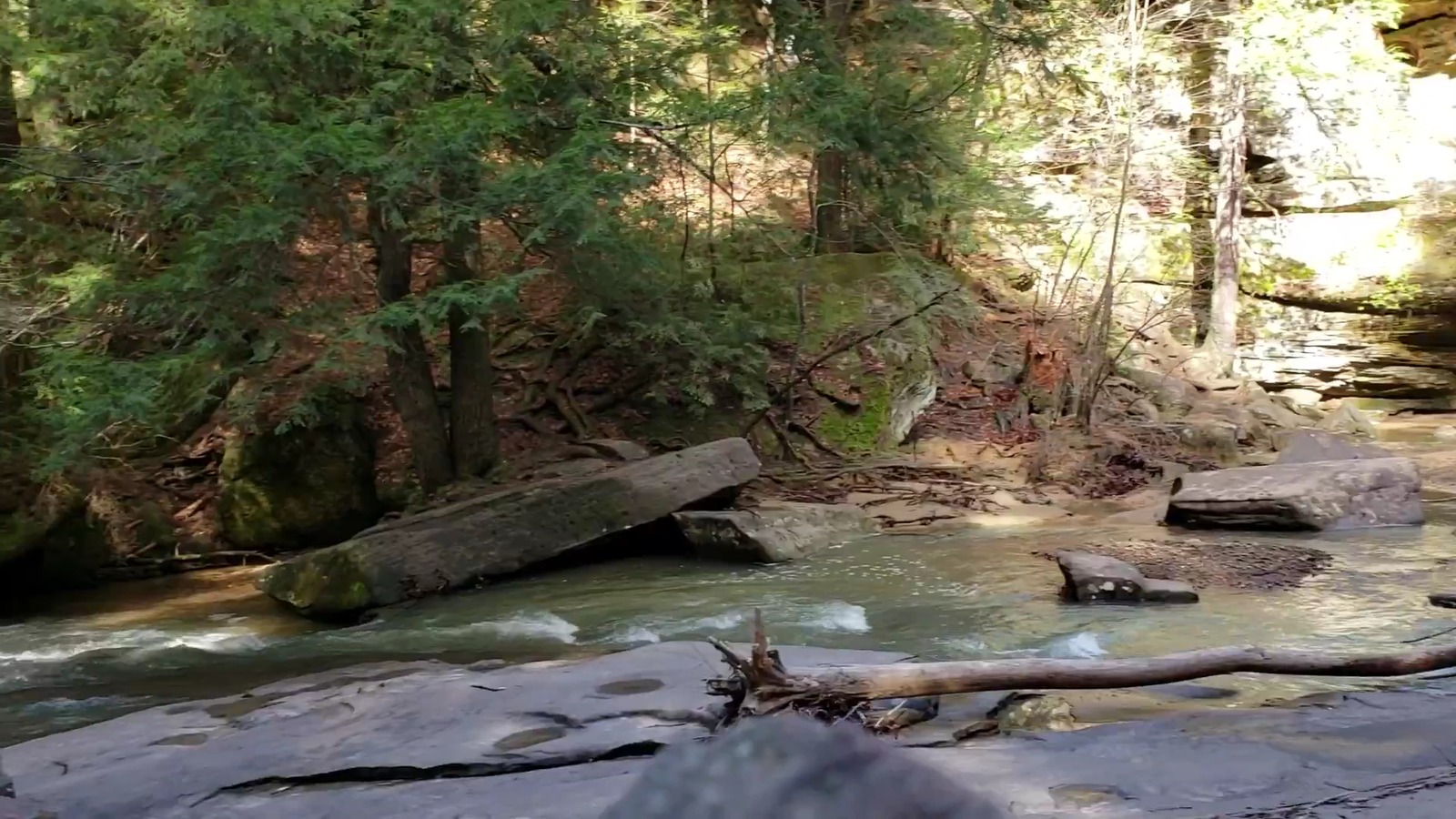 Shallow creek flowing past flat rock ledges and hemlocks in Hocking Hills State Park