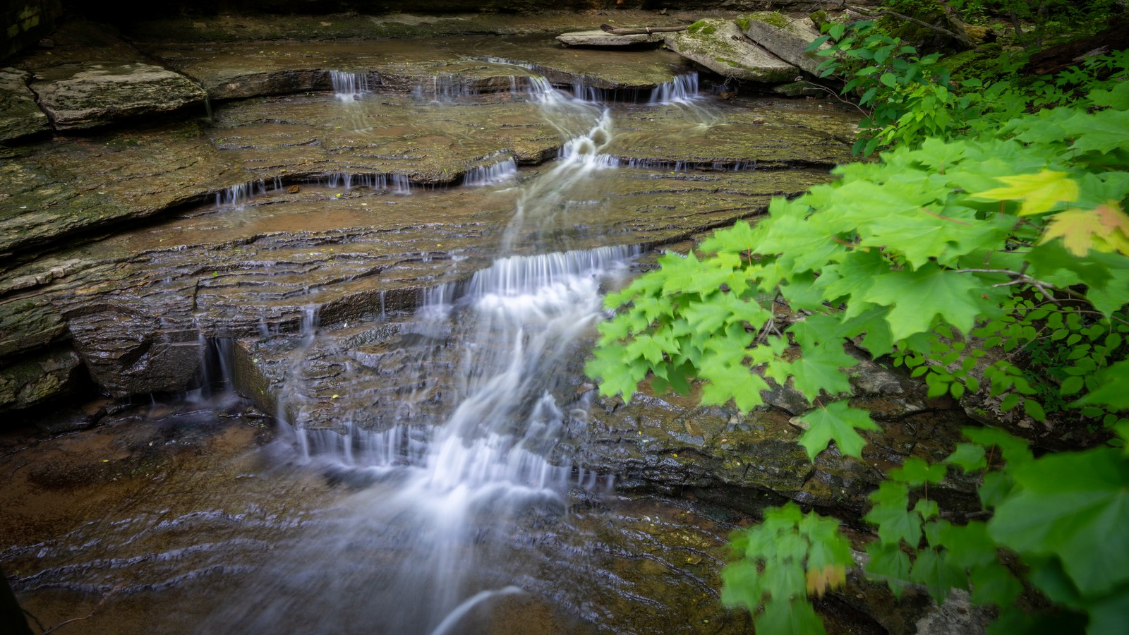 Narrow white cascade dropping beneath a mossy overhang at Clifty Falls State Park.