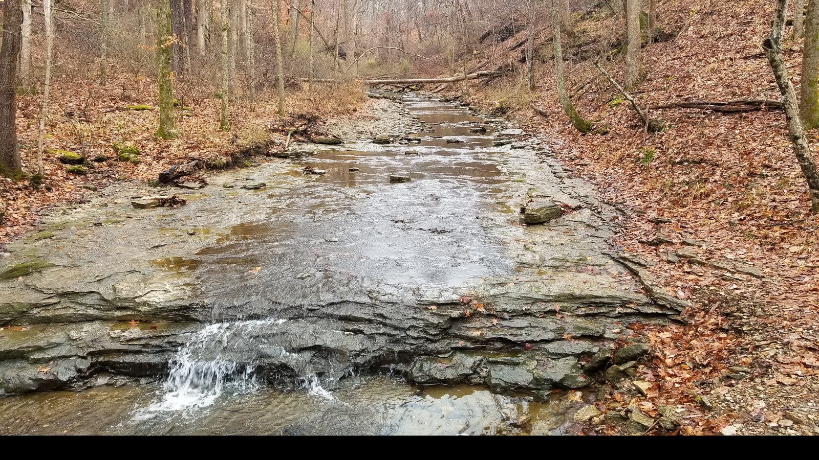 Shallow creek sliding over a broad stone bed inside Clifty Falls State Park.