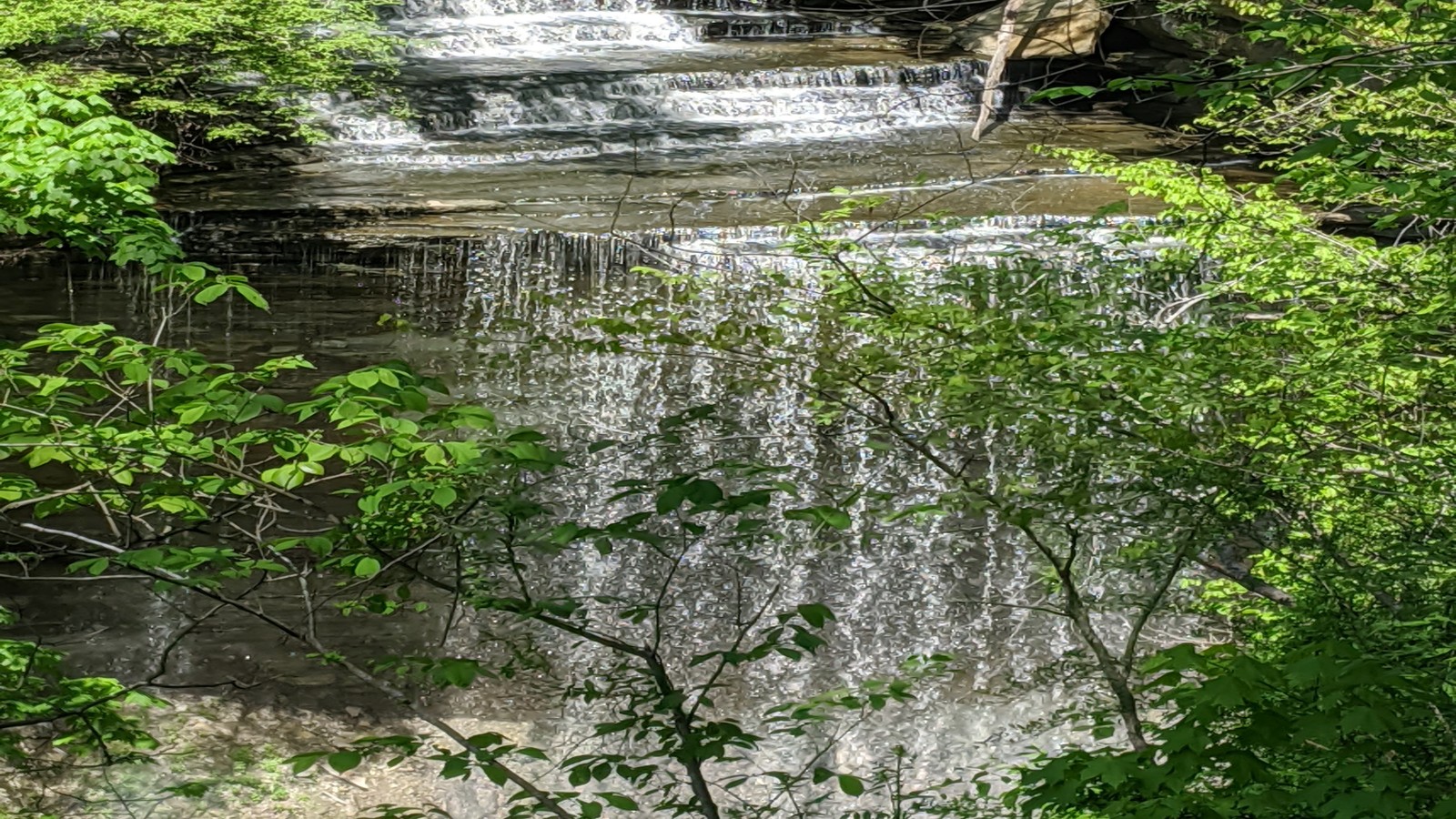 Broad waterfall framed by fresh spring greenery at Clifty Falls State Park.