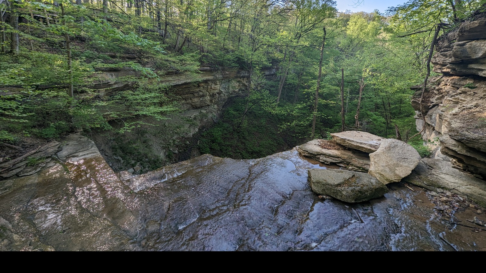 Canyon-rim overlook above forested slopes at Clifty Falls State Park.