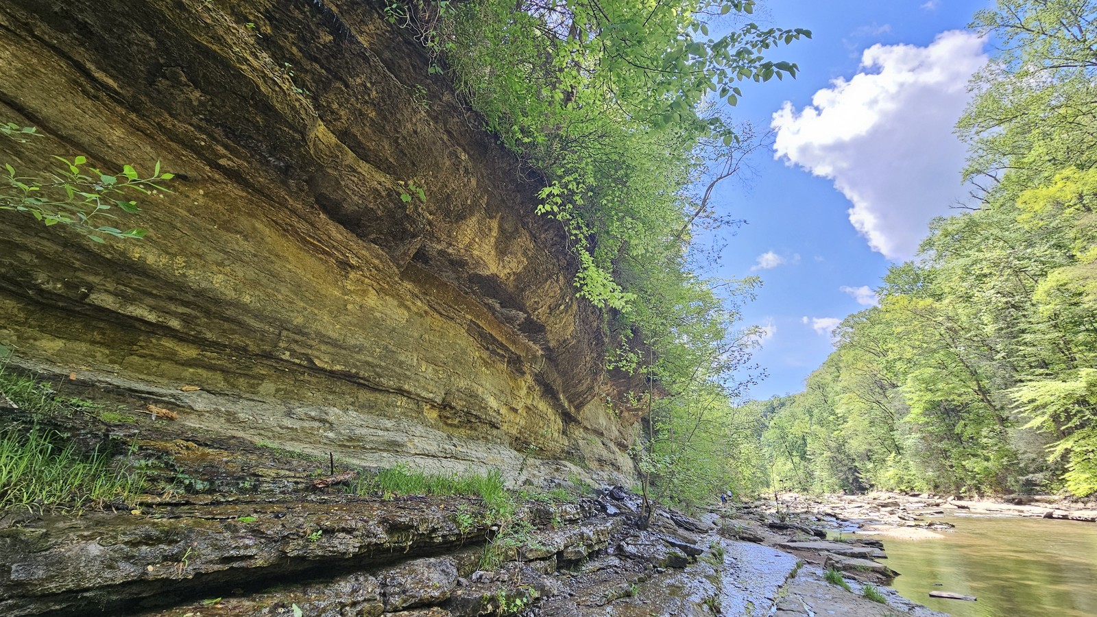 Layered limestone bluff rising above the Blackburn Fork river corridor at Cummins Falls.