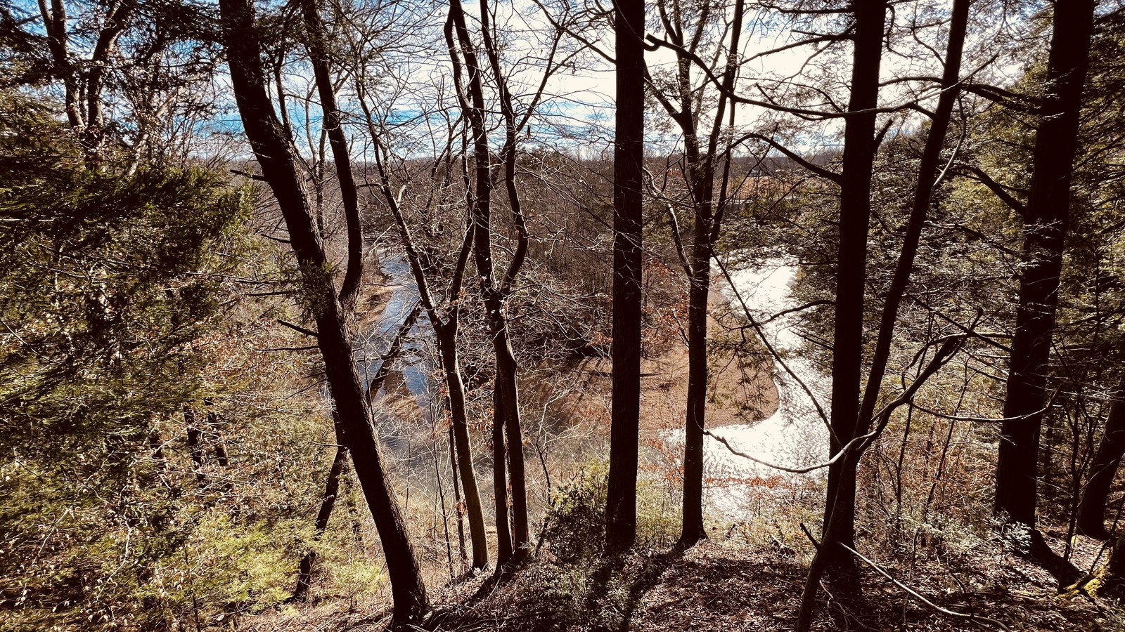 River bend shining through the trees on an upper trail at Cummins Falls State Park.