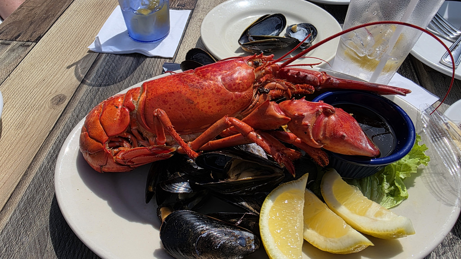 whole lobster with mussels and lemon on an outdoor table at Boston Sail Loft