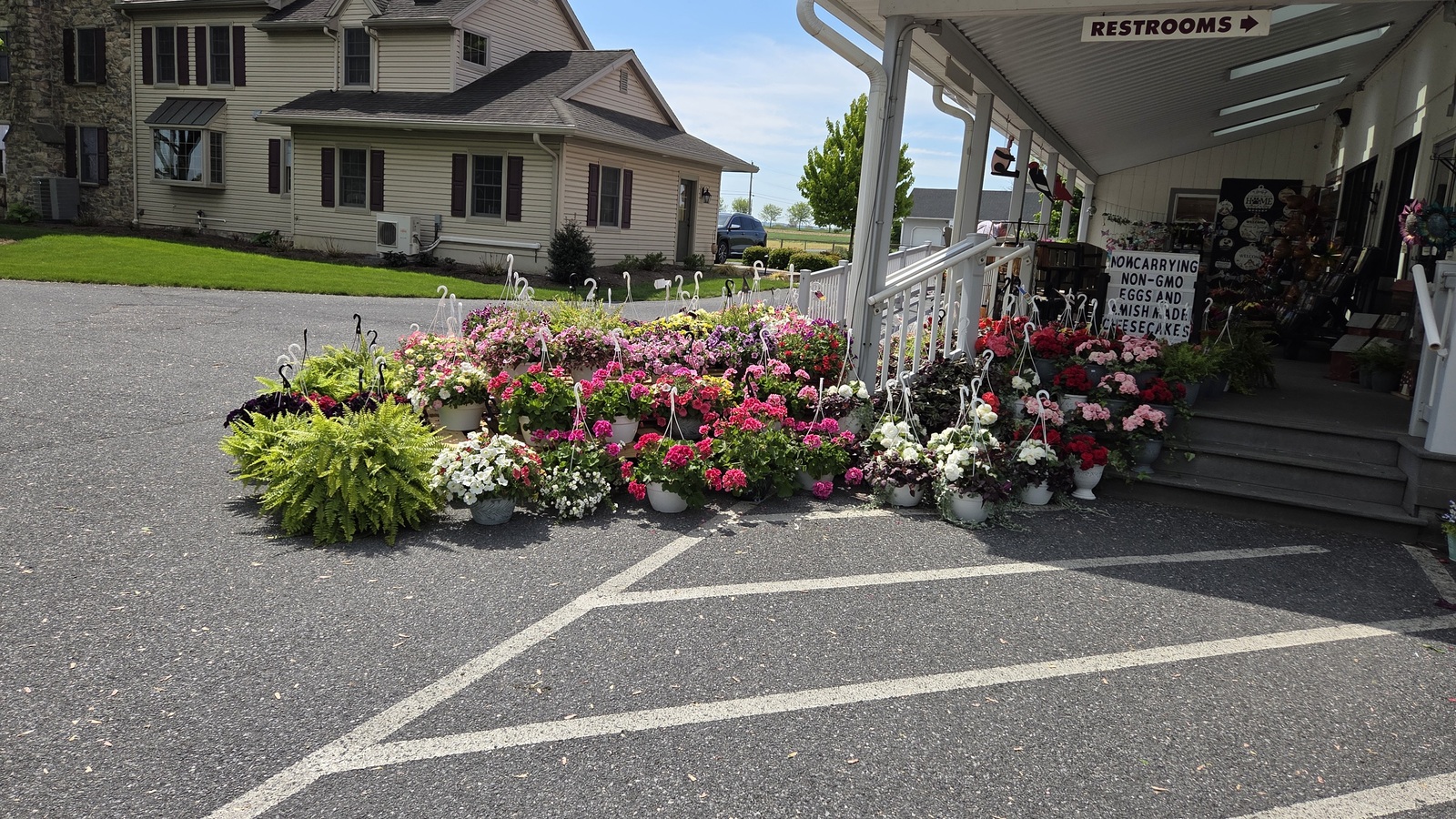 Flower-lined entry and country lane beside Bird-in-Hand Bake Shop