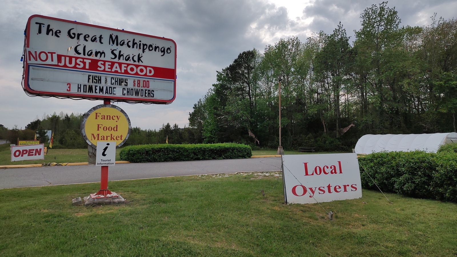 Roadside sign for The Great Machipongo Clam Shack beside a board advertising local oysters