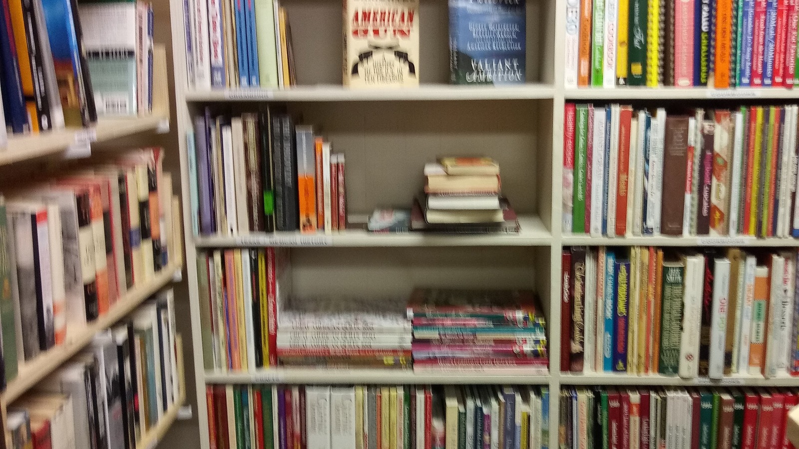 Tall book rows inside Second Chance Thrift Shop in Harlingen