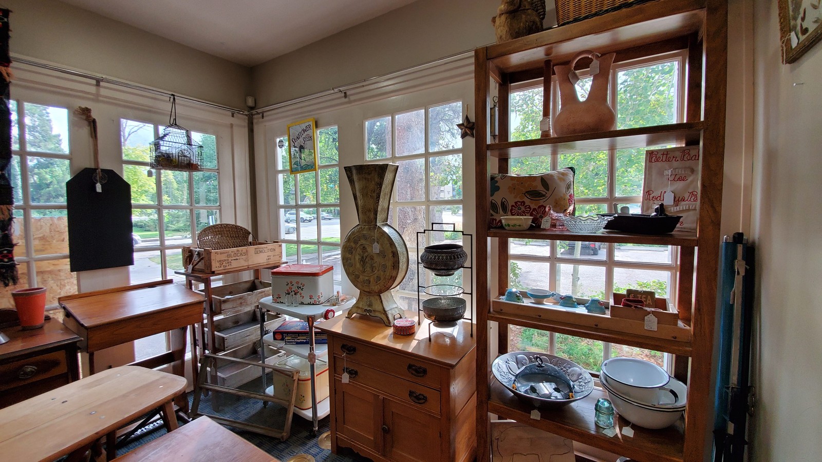 Sunlit shelves, wood furniture, and home decor arranged by the windows inside Dandelions & Rust in Fort Collins