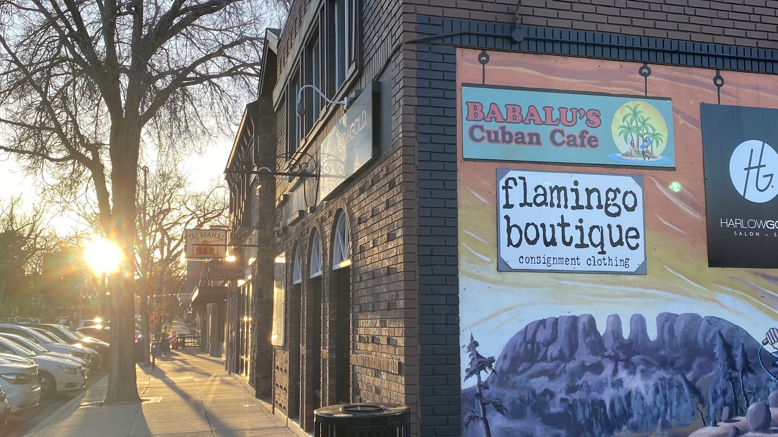 The Oak Street entrance and painted sign for Flamingo Boutique in Fort Collins at sunset
