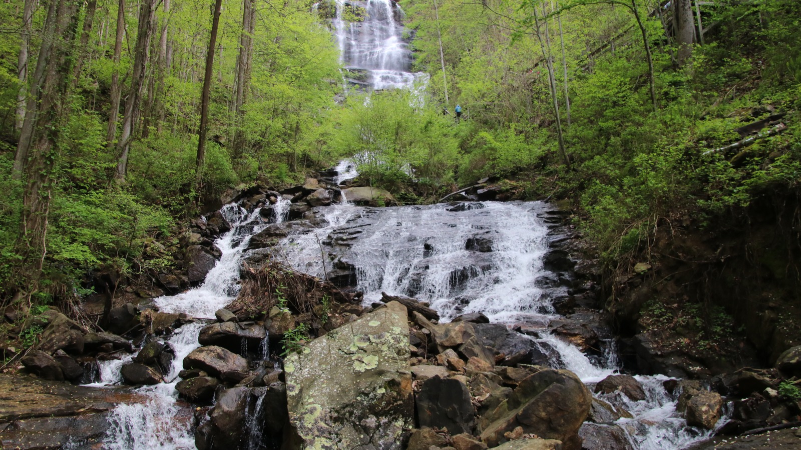 Lower cascades of Amicalola Falls rising through the forest