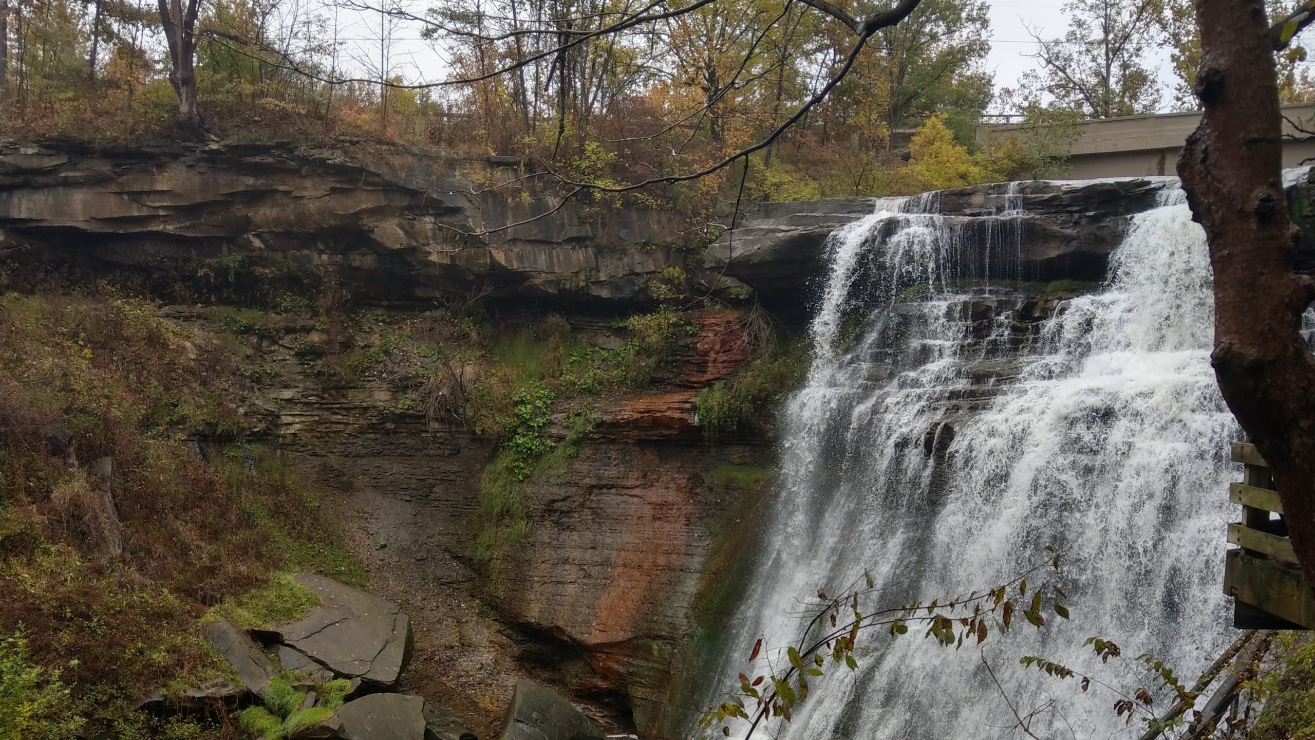 Brandywine Falls pouring over layered rock into the gorge