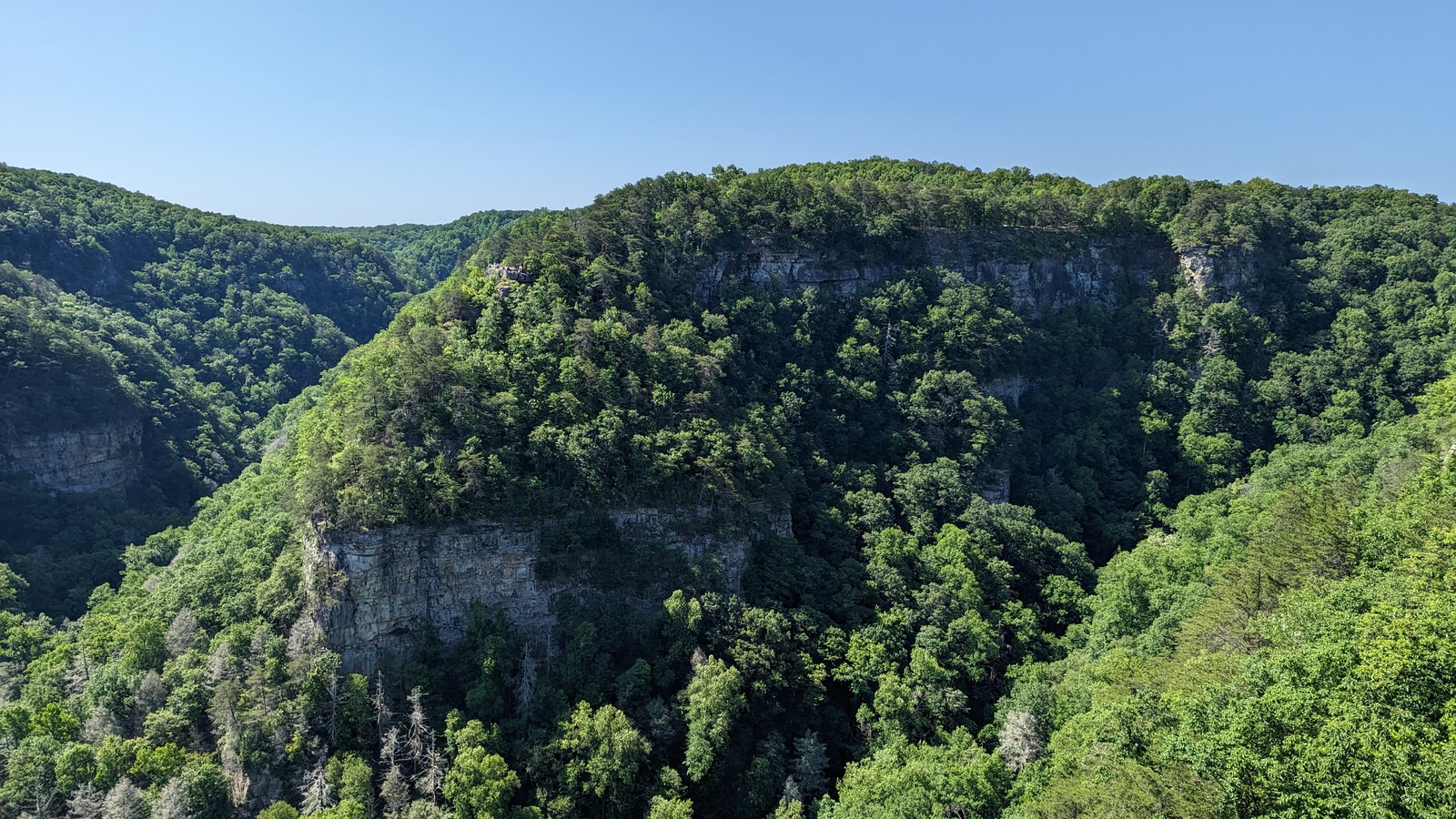 Summer canyon overlook framed by layered cliffs and dense forest at Cloudland Canyon State Park.