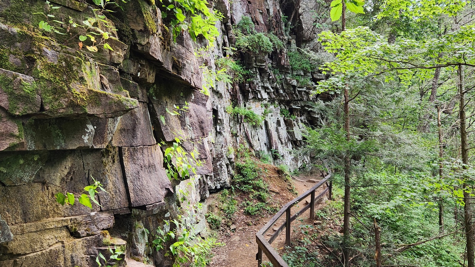 Cliffside trail curving beneath a sandstone wall at Cloudland Canyon State Park.