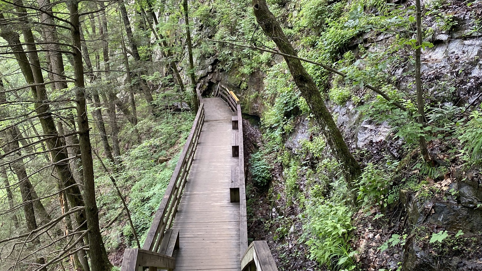 Wooden boardwalk and stair section descending through the canyon at Cloudland Canyon State Park.