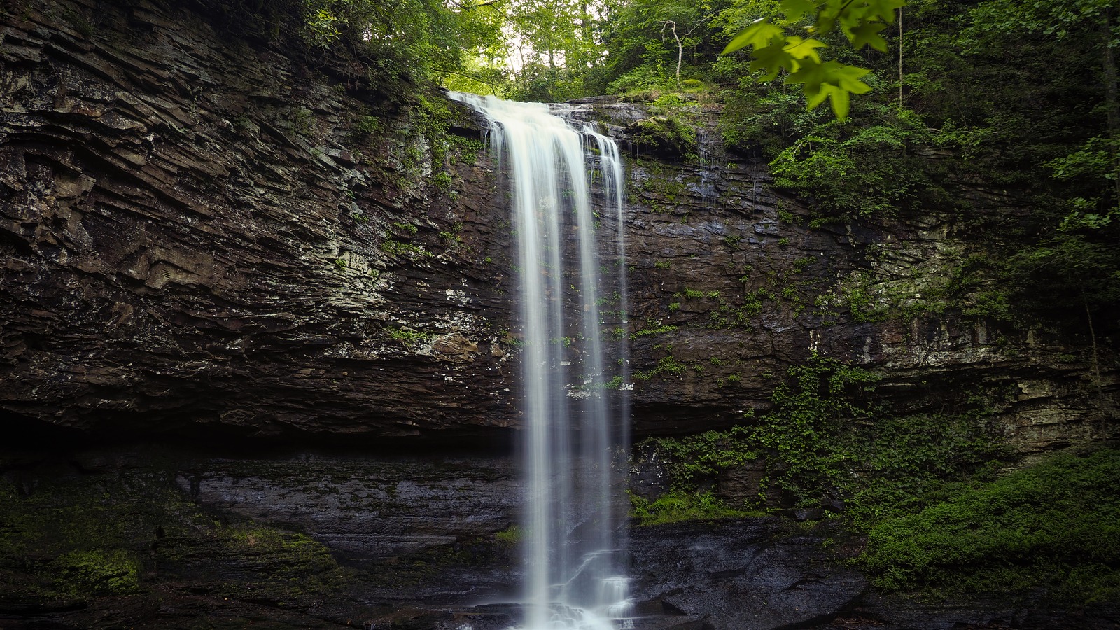 Hemlock Falls dropping into a round pool beneath a rock amphitheater at Cloudland Canyon State Park.