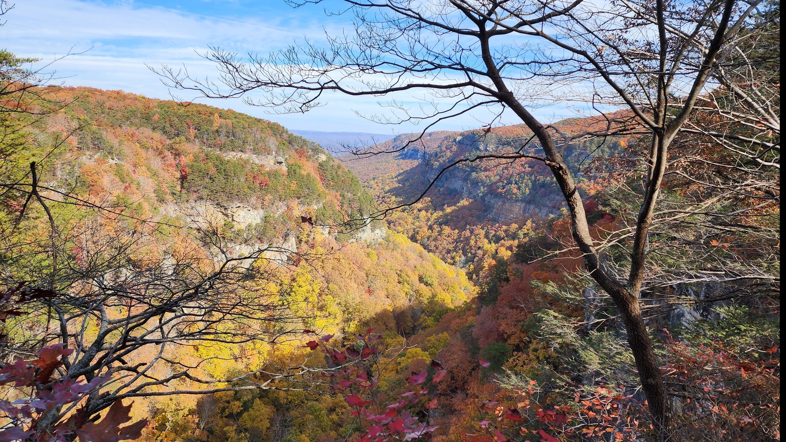 Long valley view from the canyon rim with autumn color at Cloudland Canyon State Park.