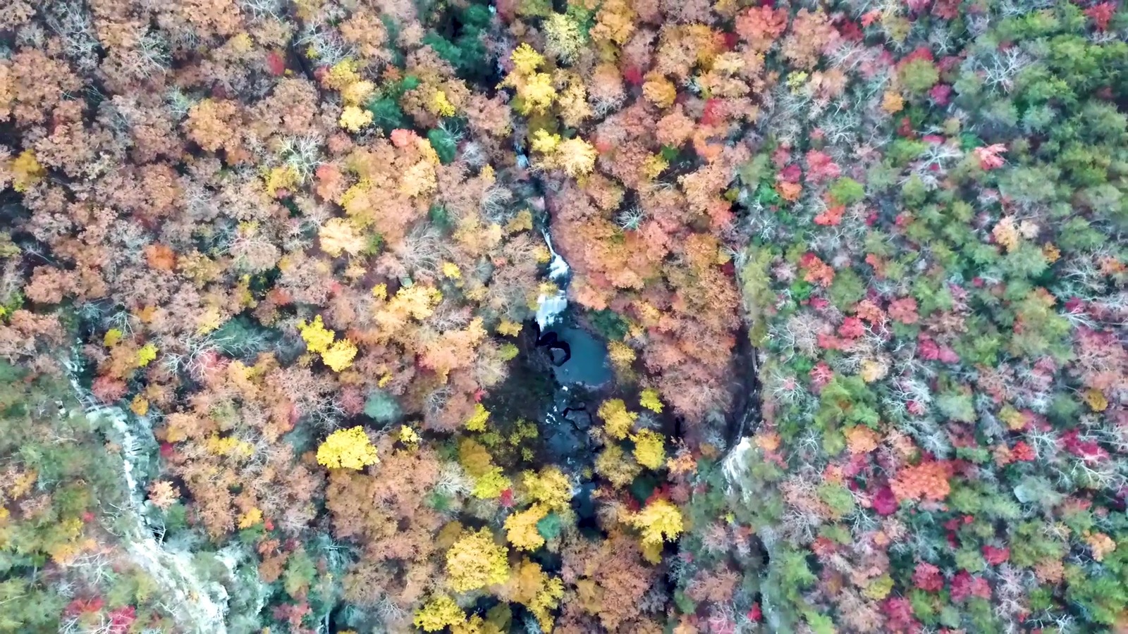 Overhead autumn view of waterfall pools and dense woodland inside Cloudland Canyon State Park.