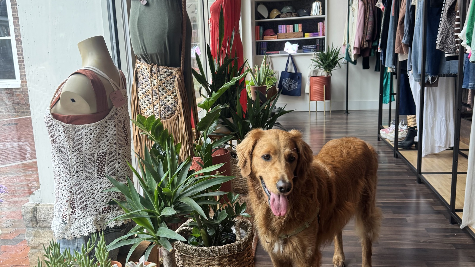 Curated secondhand clothing at The Local Market in downtown Harrisonburg