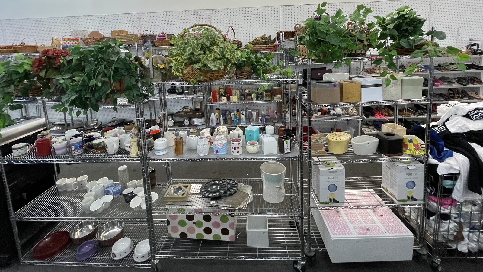 Plants and housewares arranged on metal racks at American Thrift Store in Hollywood