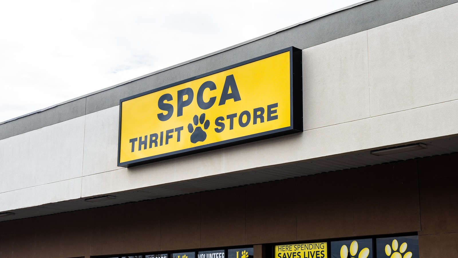 SPCA Thrift Store sign and storefront along Whiskey Road in Aiken