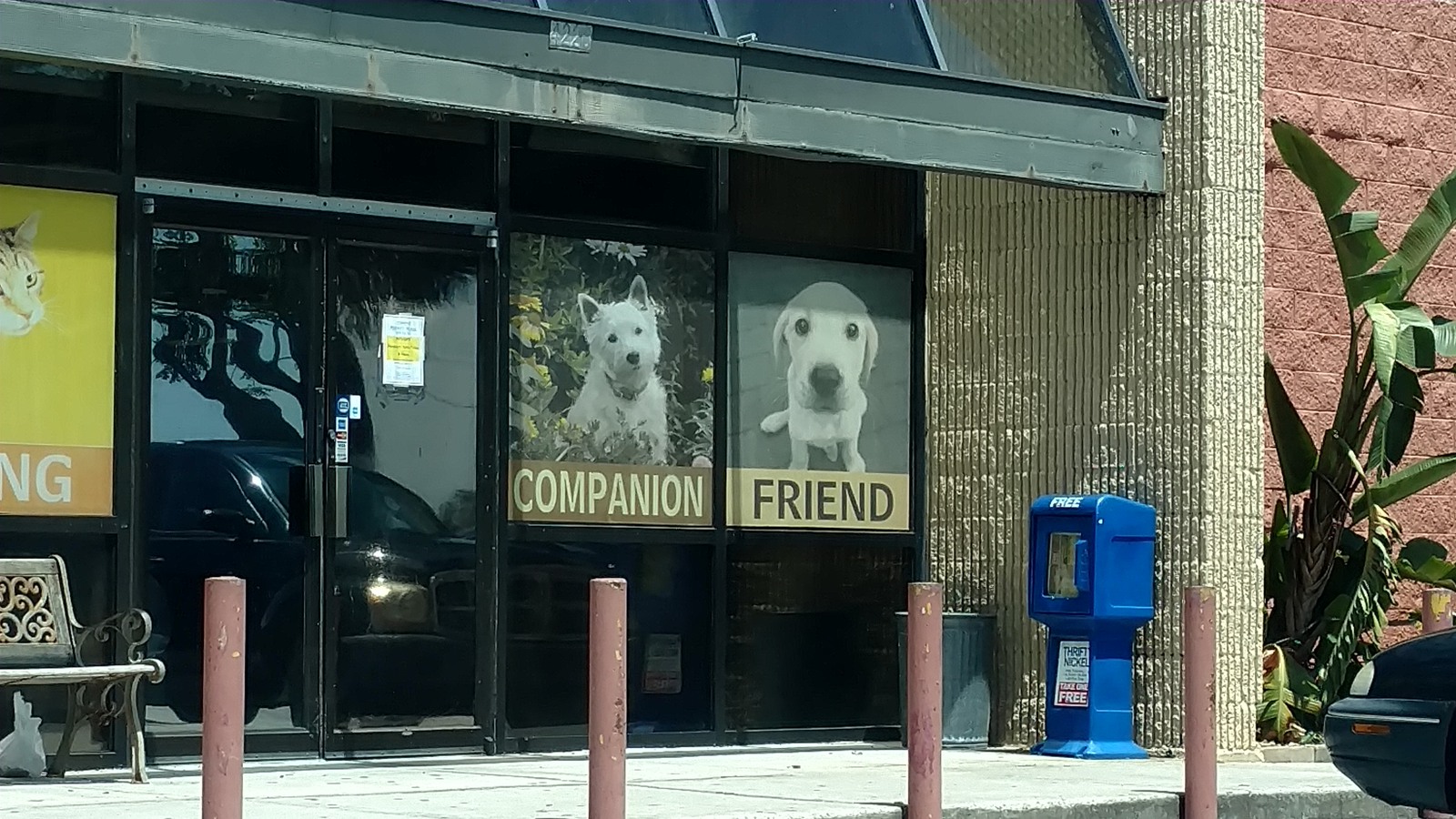 Cat and dog artwork on the Titusville thrift store entrance
