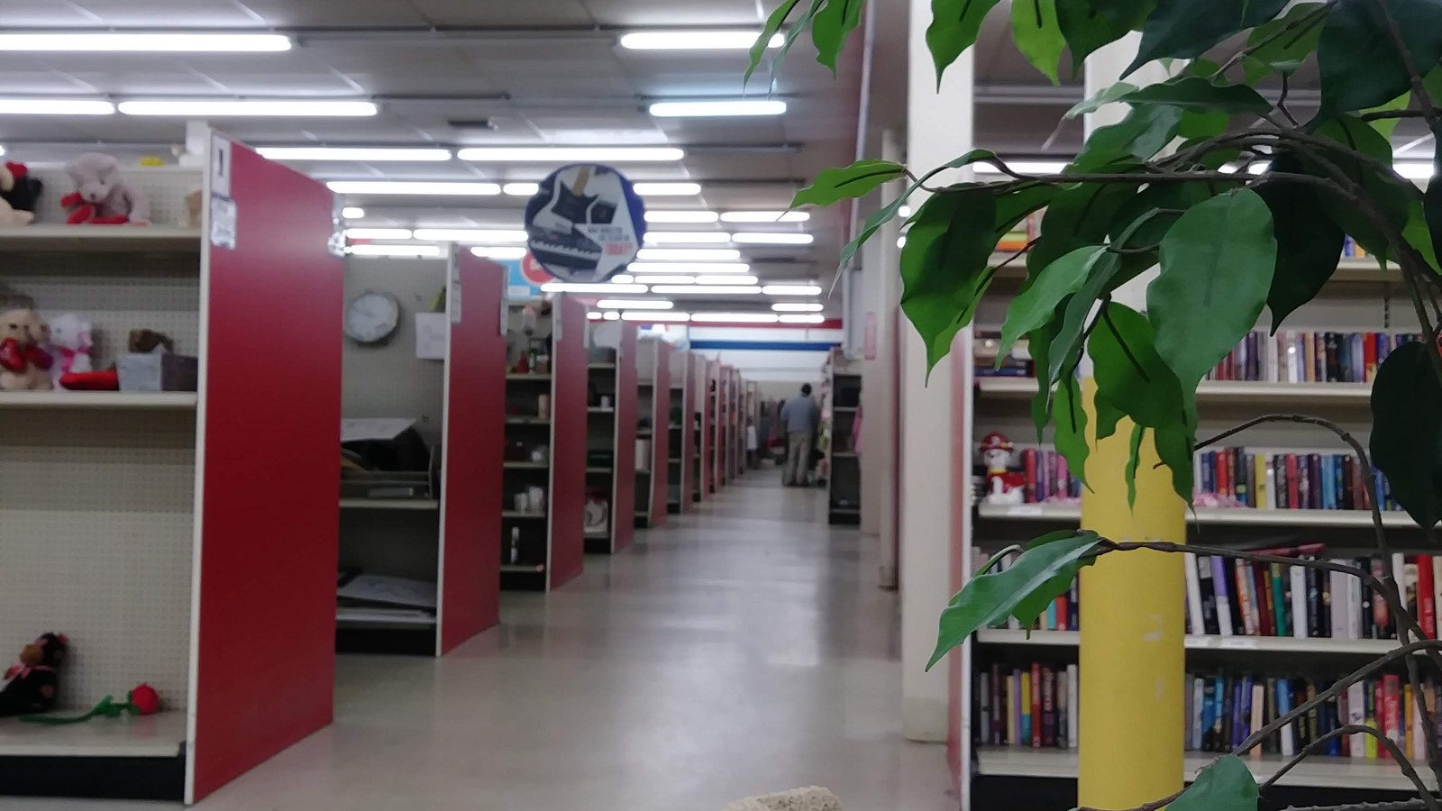 Wide book aisle with red shelving and a leafy plant