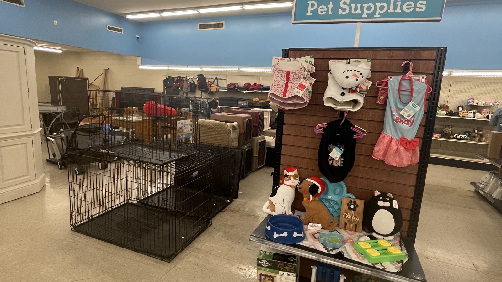 Pet crates, carriers, bowls, and accessories in the pet supplies section