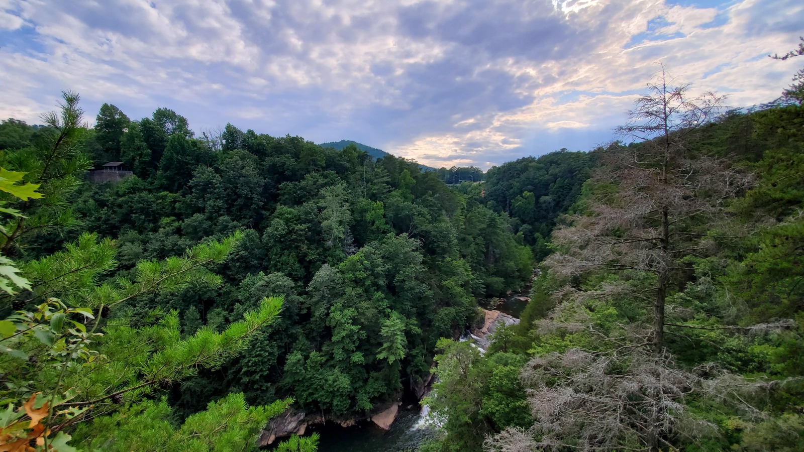 Forested walls and layered gorge views opening beyond the rim at Tallulah Gorge State Park.