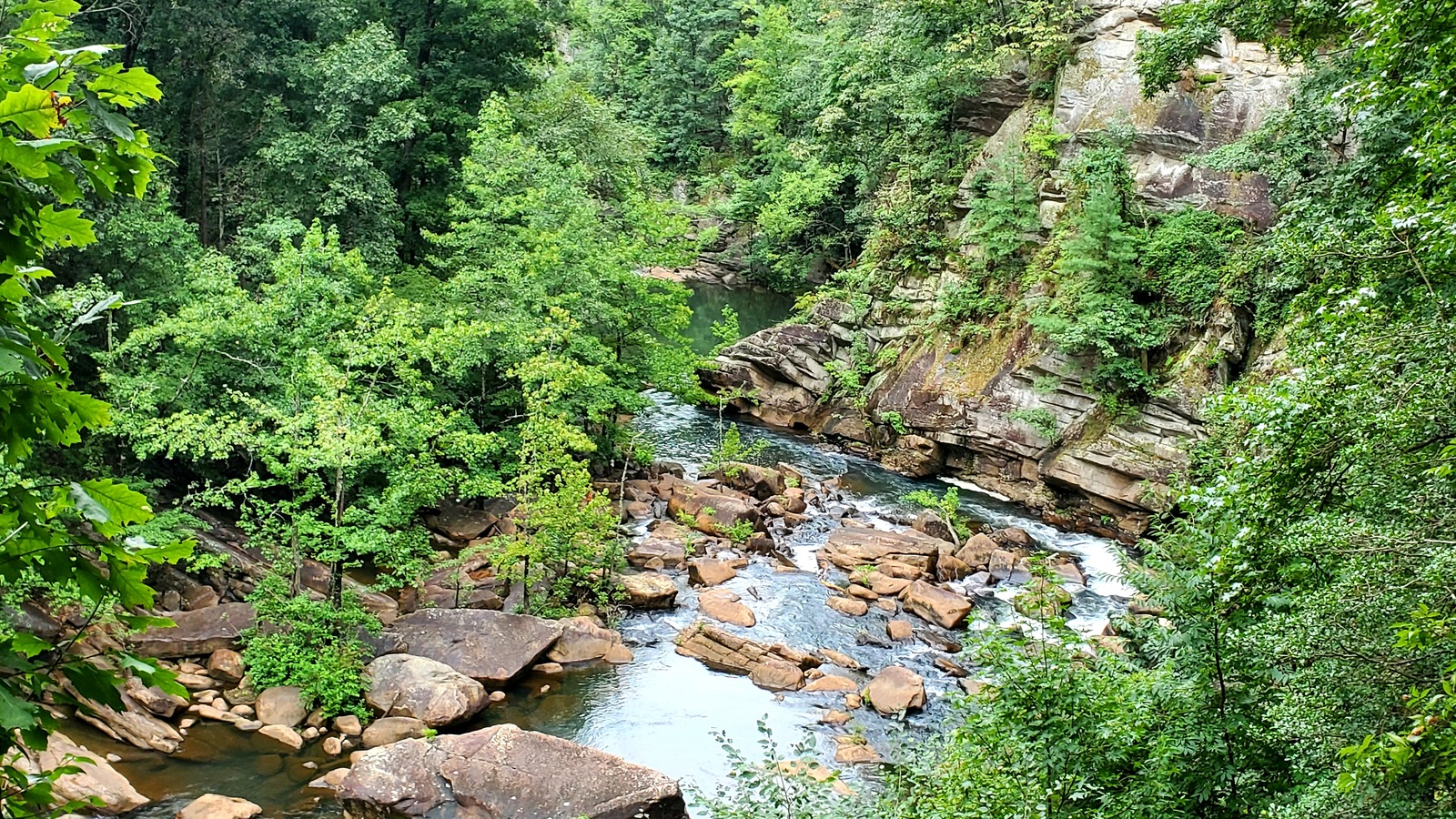 Rocky creek and dense green gorge walls along the Tallulah River inside Tallulah Gorge State Park.