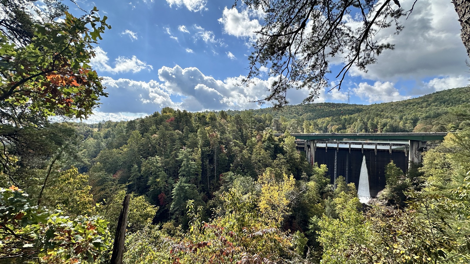Upper gorge view with Tallulah Falls Dam framed by trees at Tallulah Gorge State Park.
