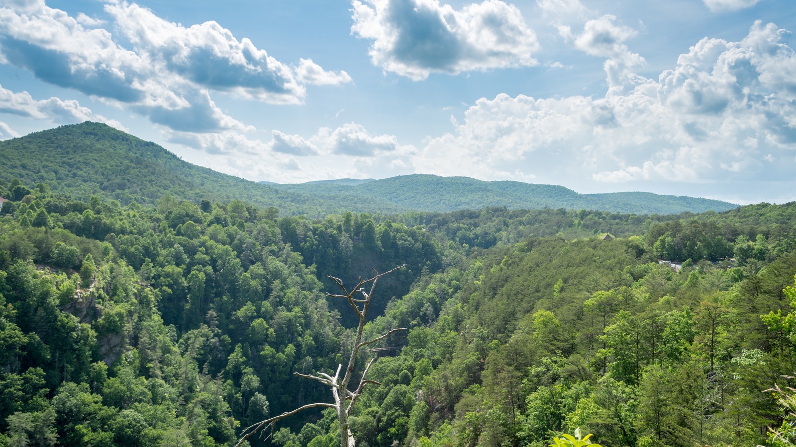 This Georgia State Park Has An 80-Foot Suspension Bridge Above A Nearly 1,000-Foot Gorge