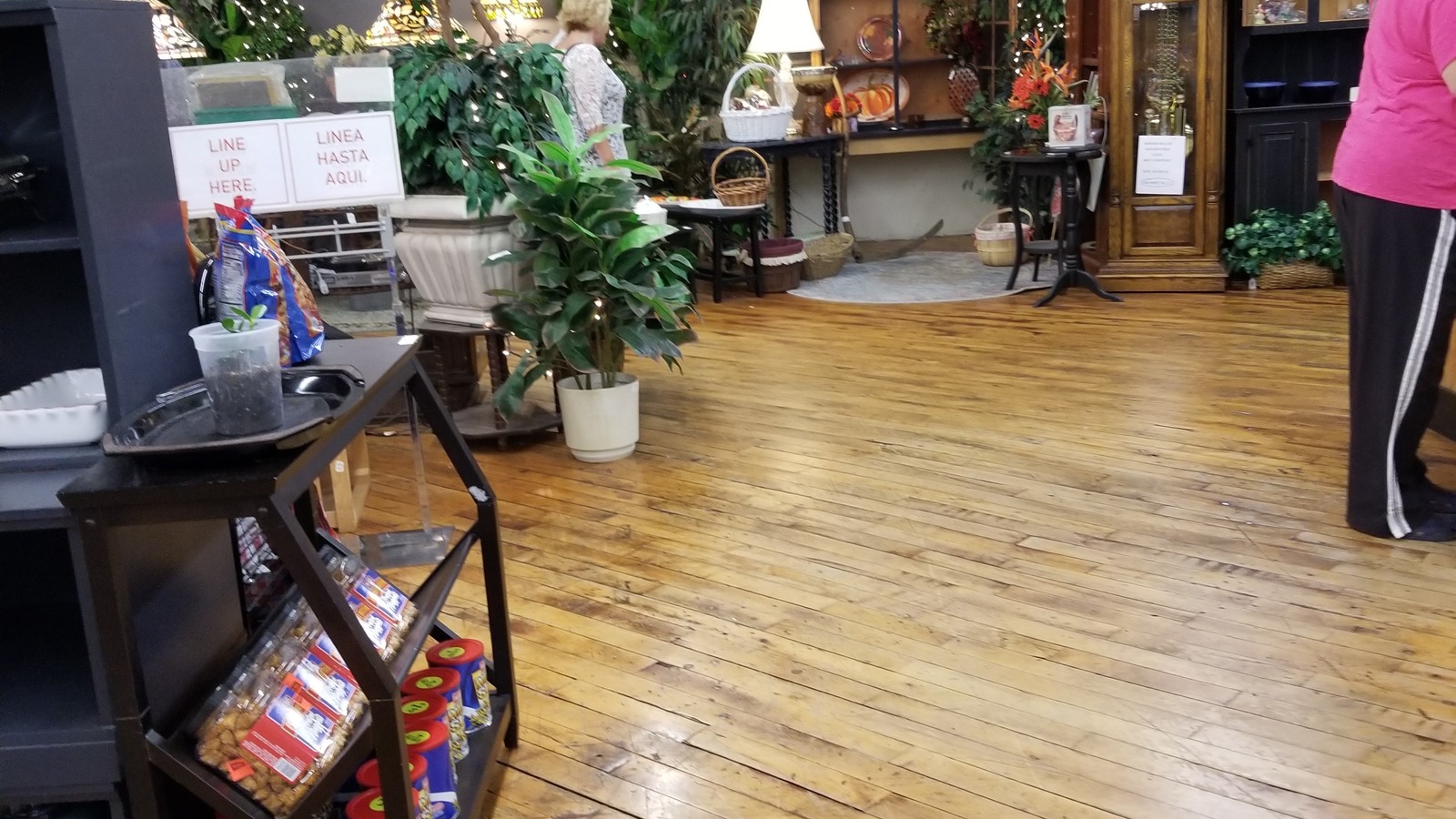 Wood-floor shopping area with home furnishings and decorative plants