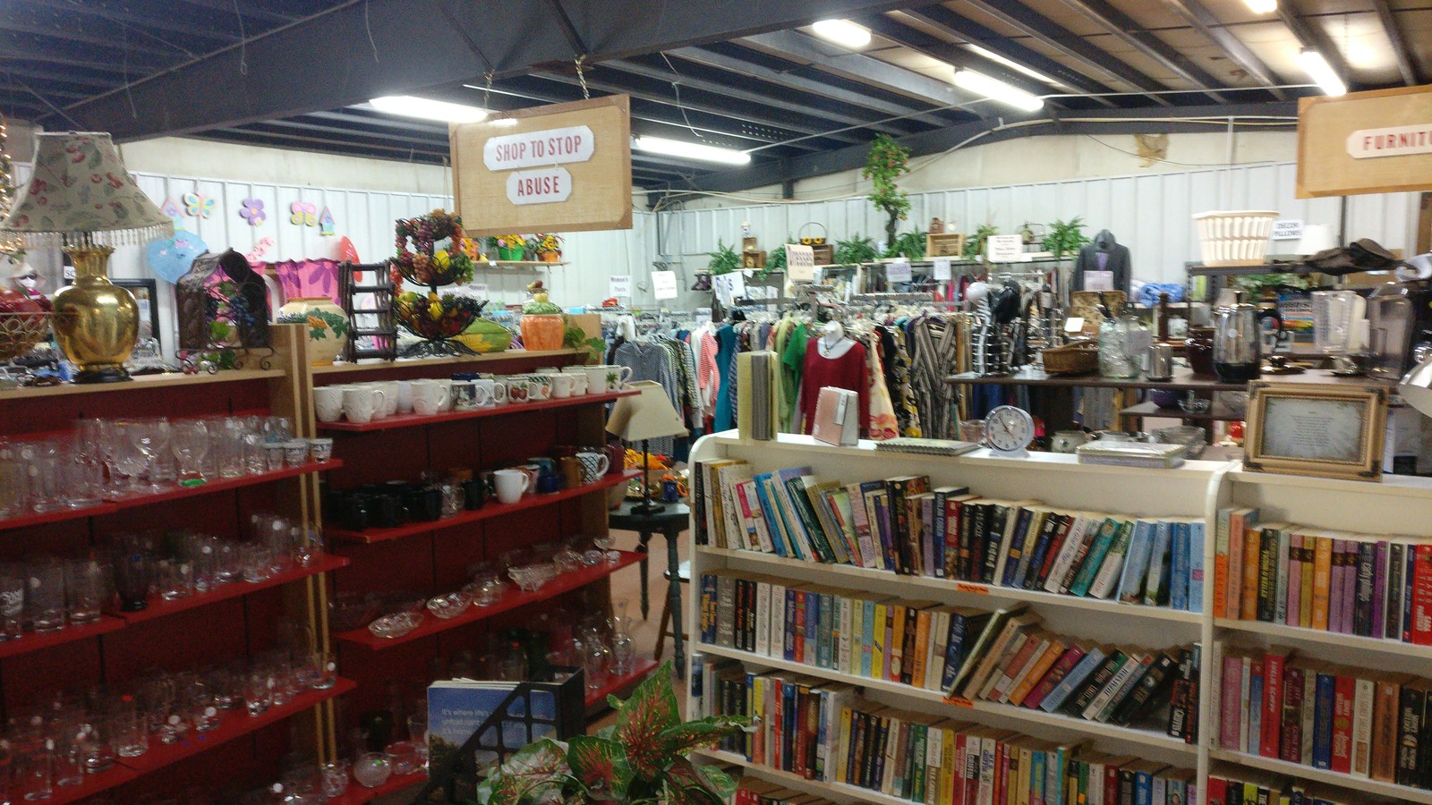 Bookshelves, glassware, and household treasures arranged inside Reach Thrift Store in Murphy