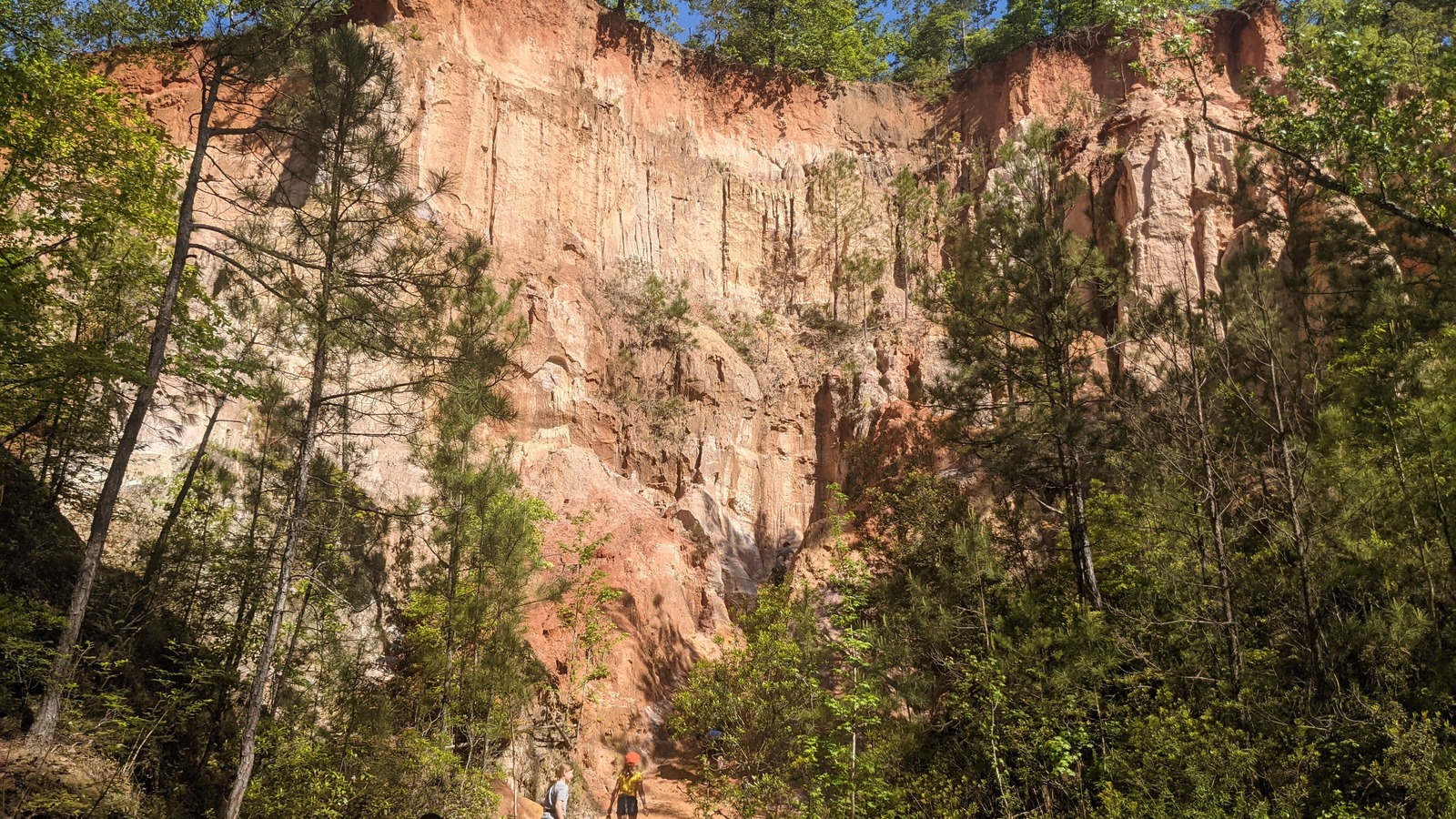 Broad canyon wall and cream-colored formations rising above the trail at Providence Canyon State Park.