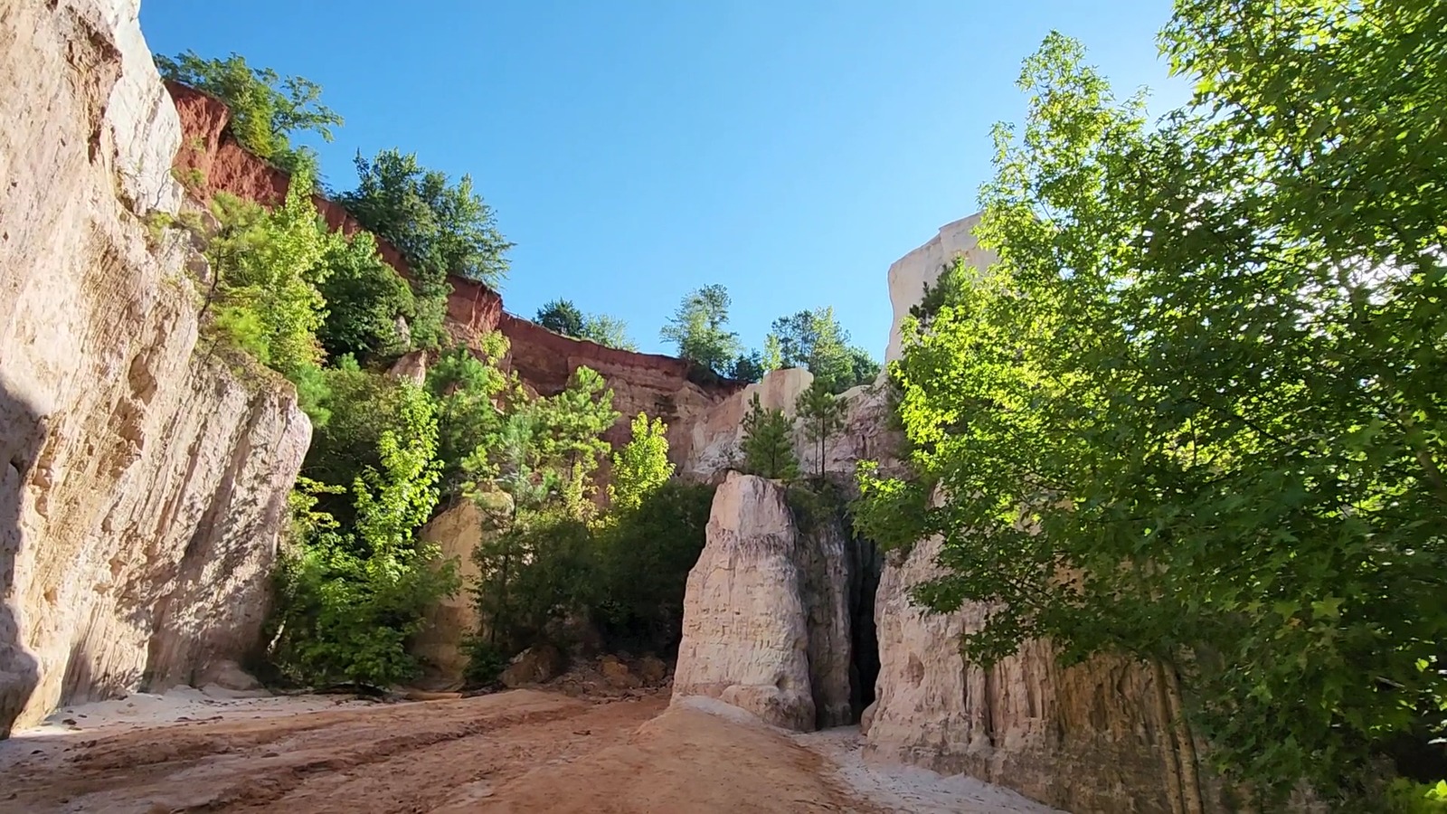 Pale canyon walls and sandy floor glowing in bright light at Providence Canyon State Park.