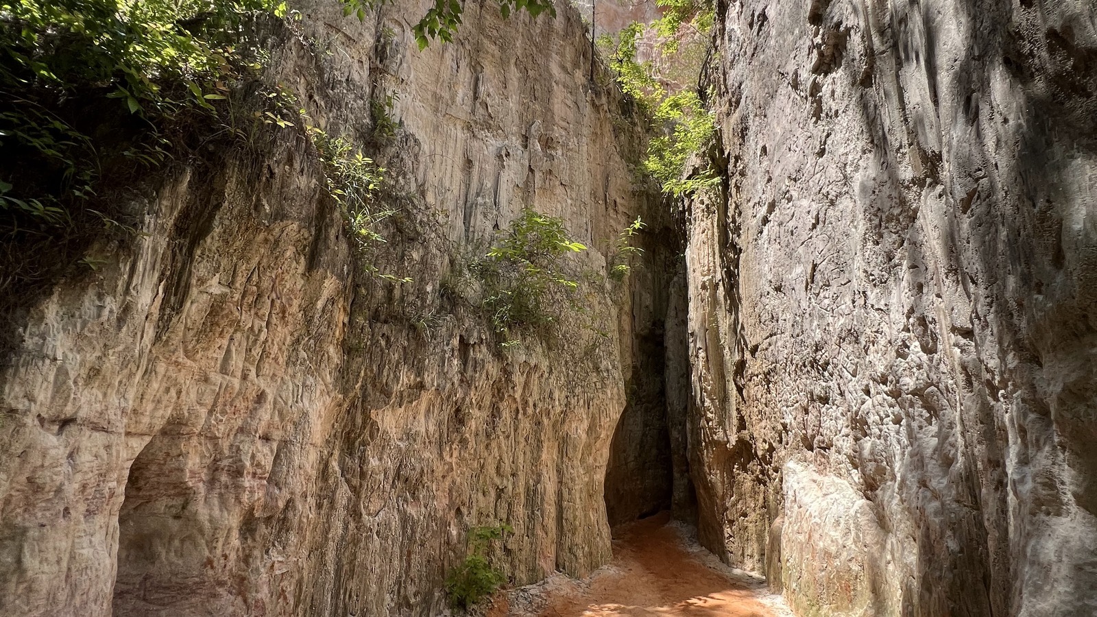 Narrow canyon passage with tall pale walls inside Providence Canyon State Park.