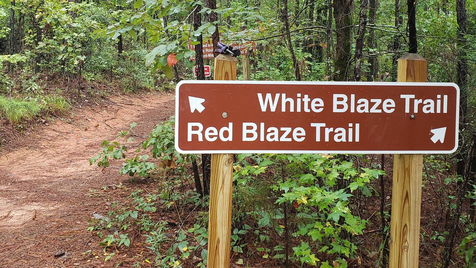 White Blaze and Red Blaze trail sign in the woods at Providence Canyon State Park.