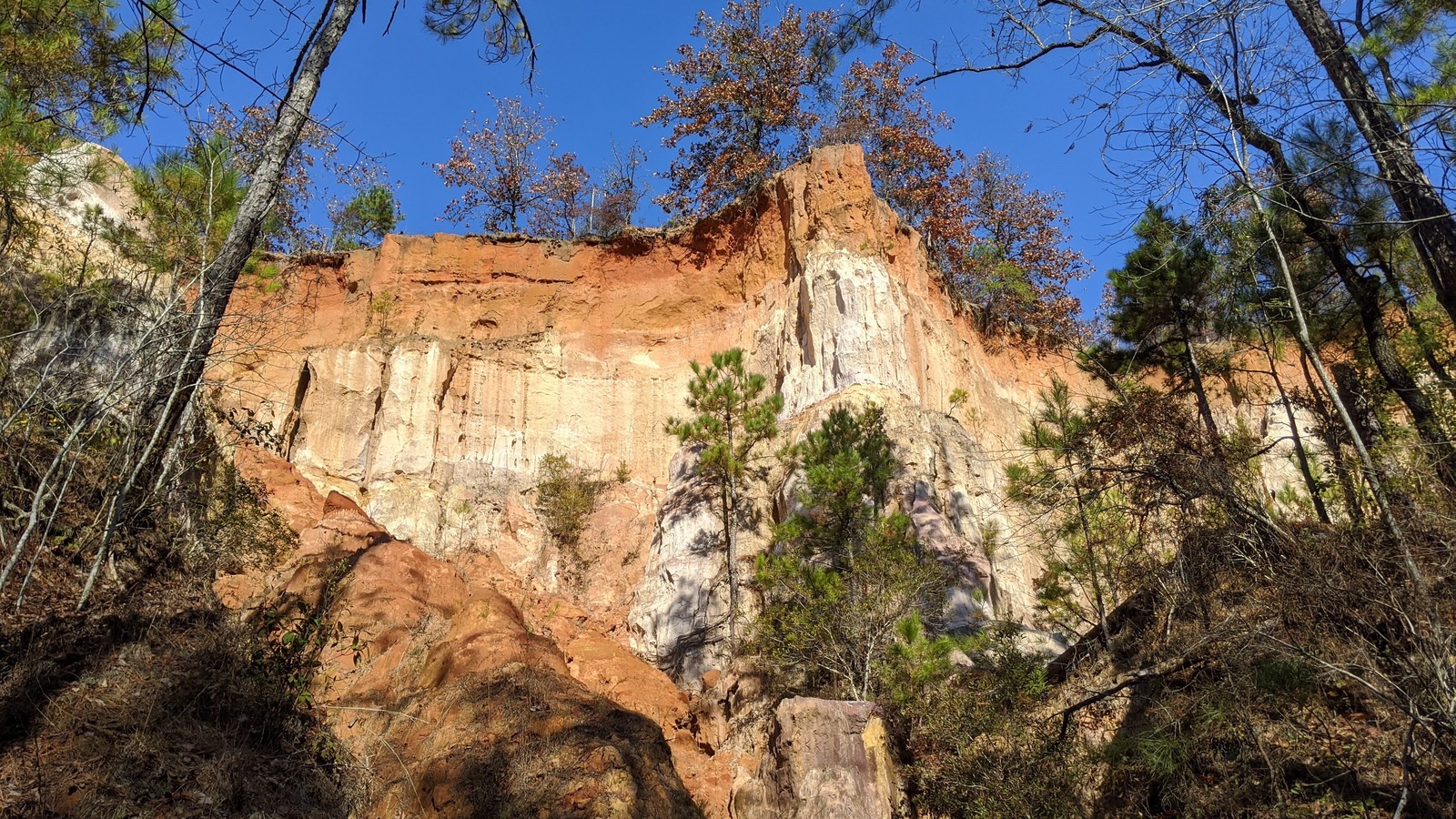 Sunlit canyon wall layered in red and cream tones at Providence Canyon State Park.
