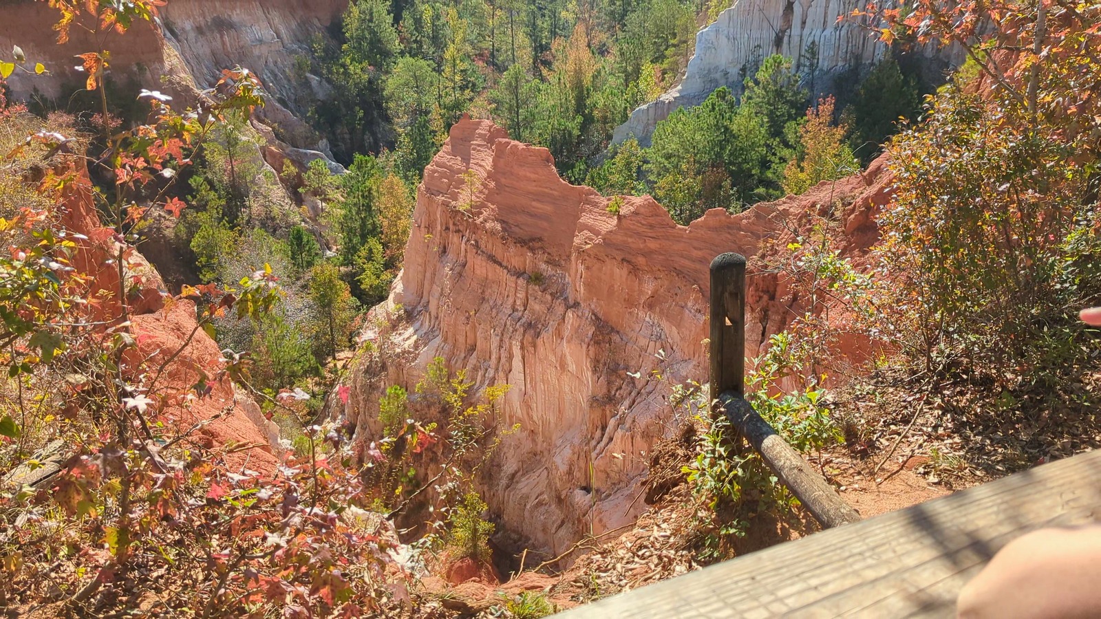 Rim overlook with red clay ridges and autumn color at Providence Canyon State Park.