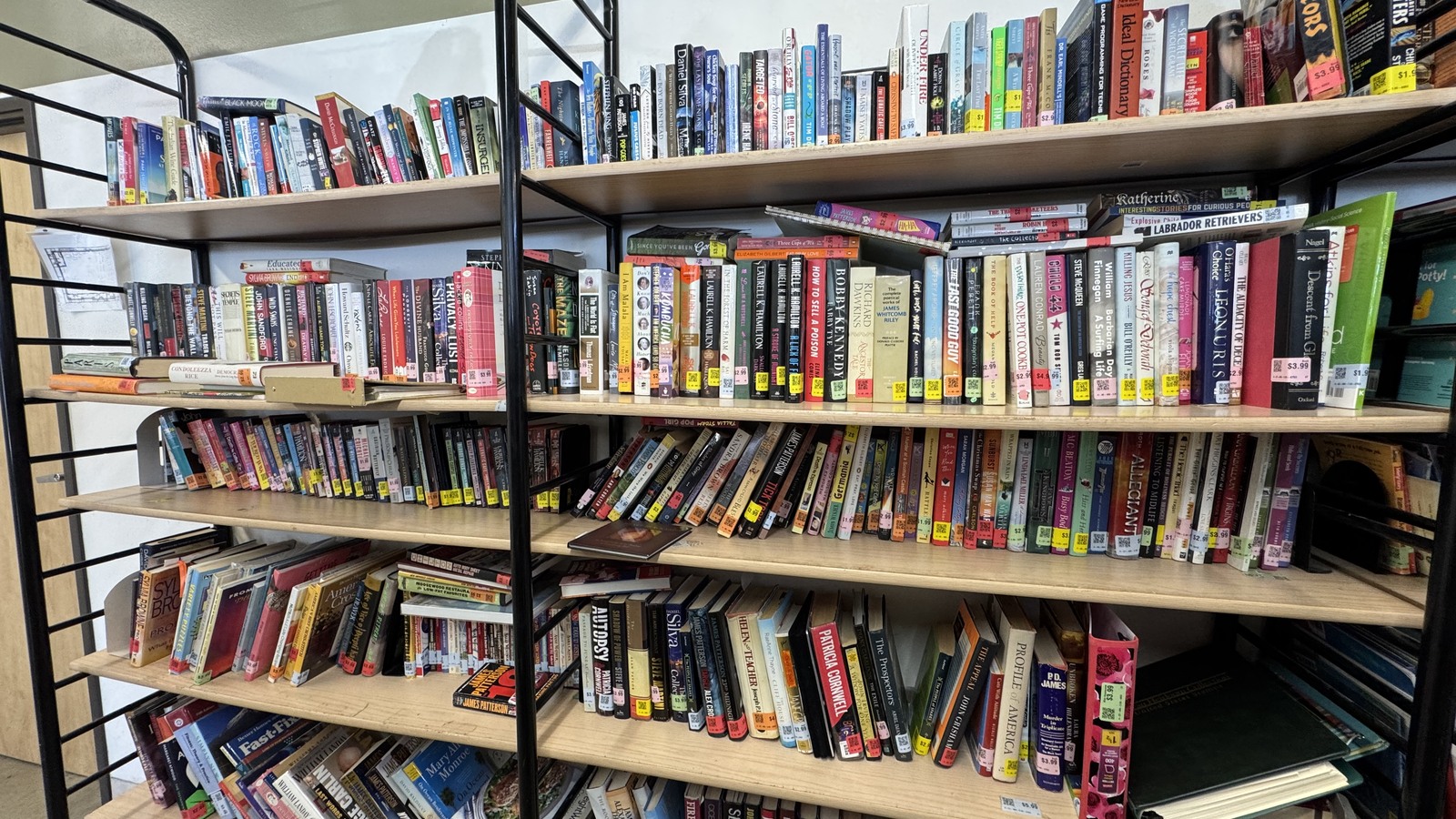 Rows of books filling tall black shelves