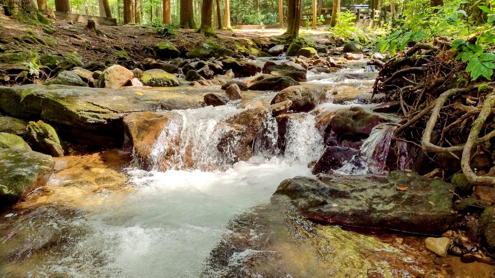 Rocky forest stream crossing through Vogel State Park.