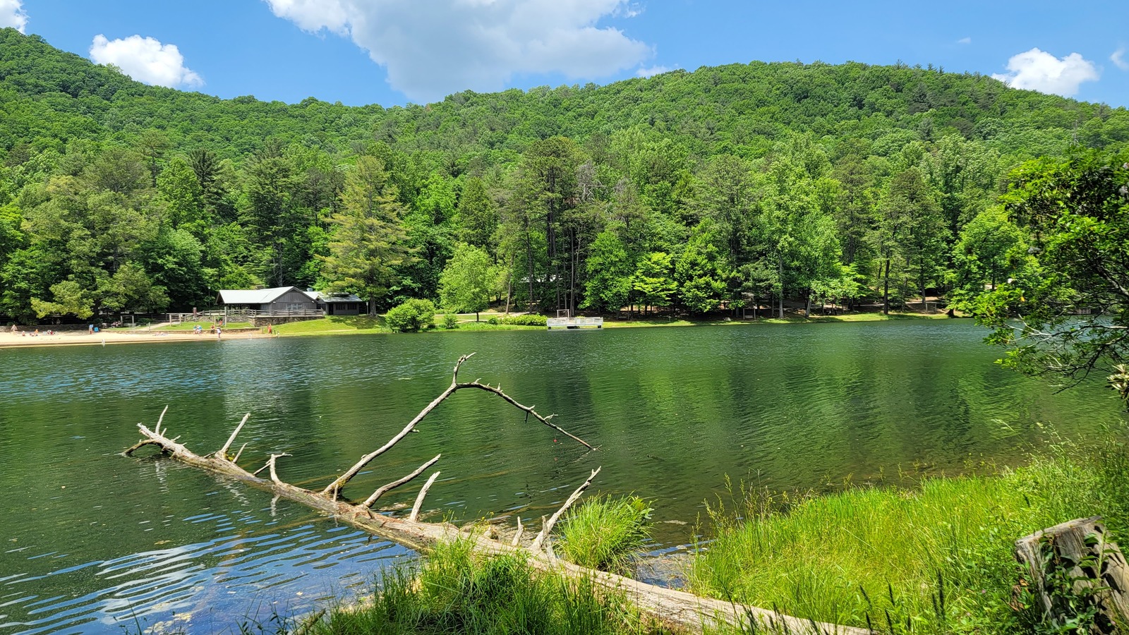 Green summer shoreline and mountain slope at Vogel State Park.
