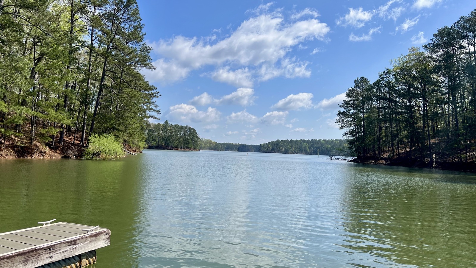 Wide Lake Allatoona channel framed by tall pines at Red Top Mountain State Park.