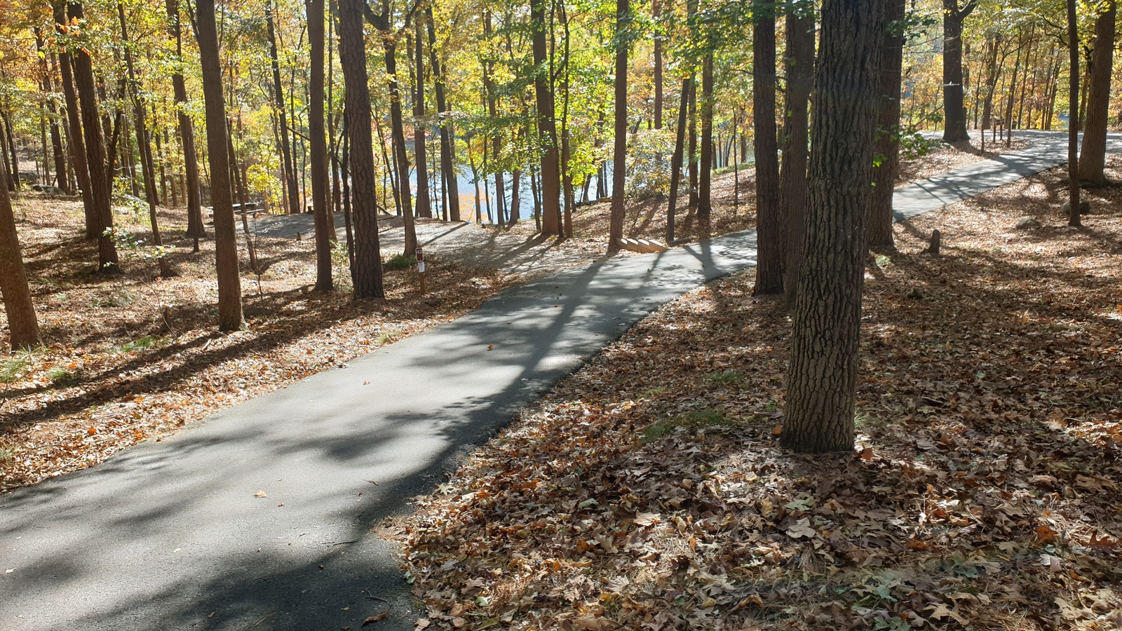 Paved wooded path near the homestead area at Red Top Mountain State Park.