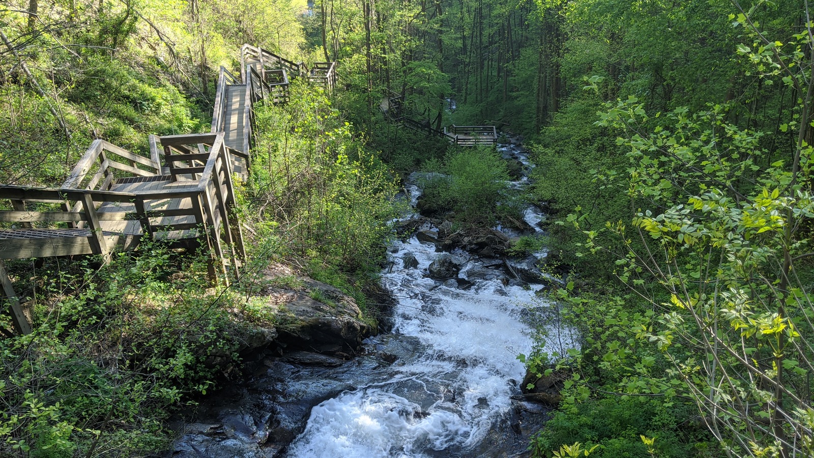 Stair route and rushing creek at Amicalola Falls State Park