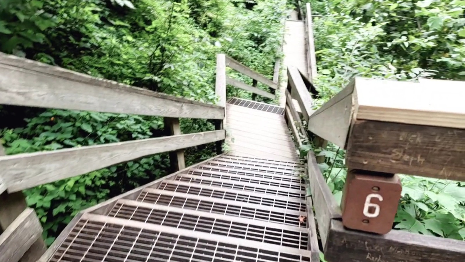 Boardwalk viewpoint near Amicalola Falls