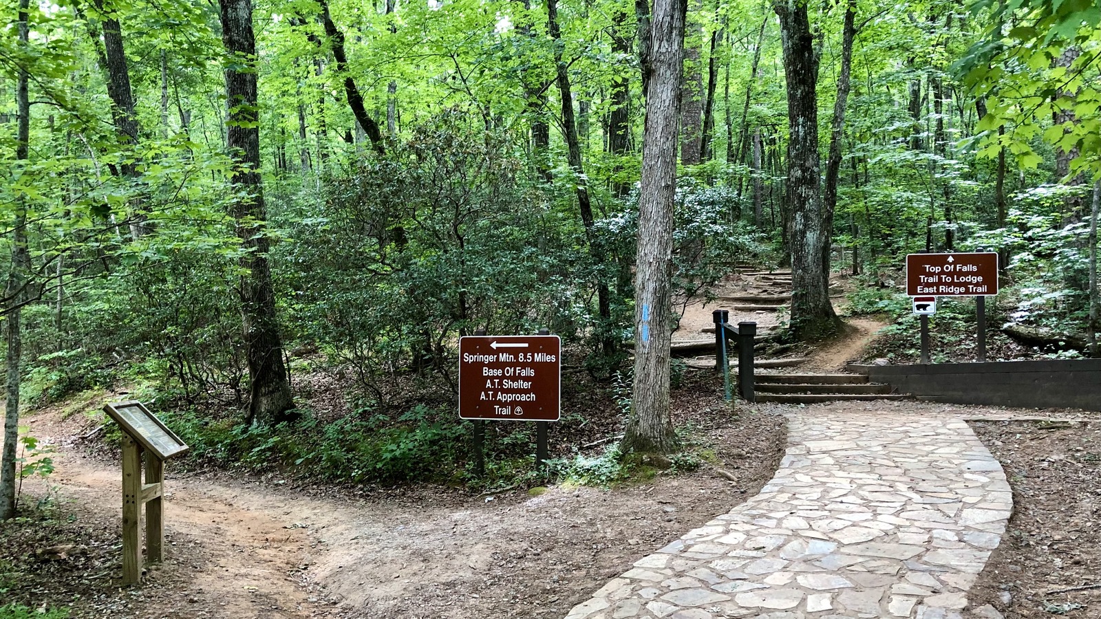 Trail junction near the Appalachian Approach Trail at Amicalola Falls State Park