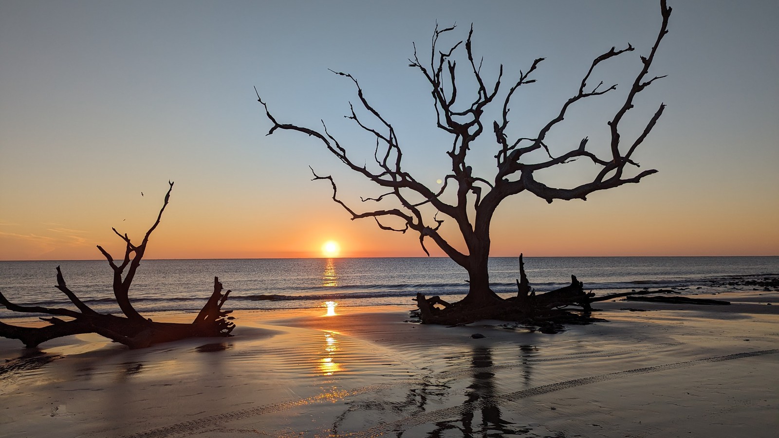 This Georgia State Park Has 10 Miles Of Shoreline And A Beach That Feels Like Another World