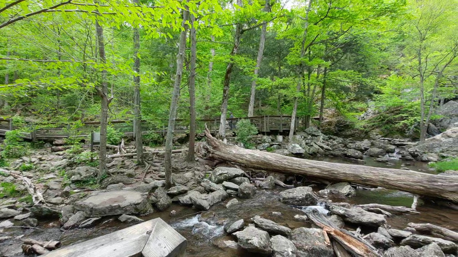 Boardwalk and boulder-lined creek at the falls area in Cunningham Falls State Park.
